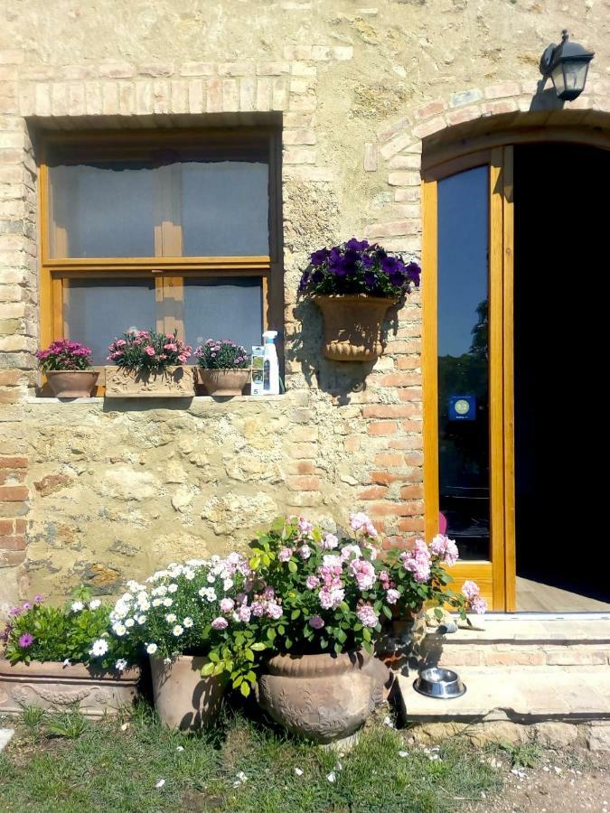 カステル・サン・ジミニャーノCasa Ollieアパートメント エクステリア 写真